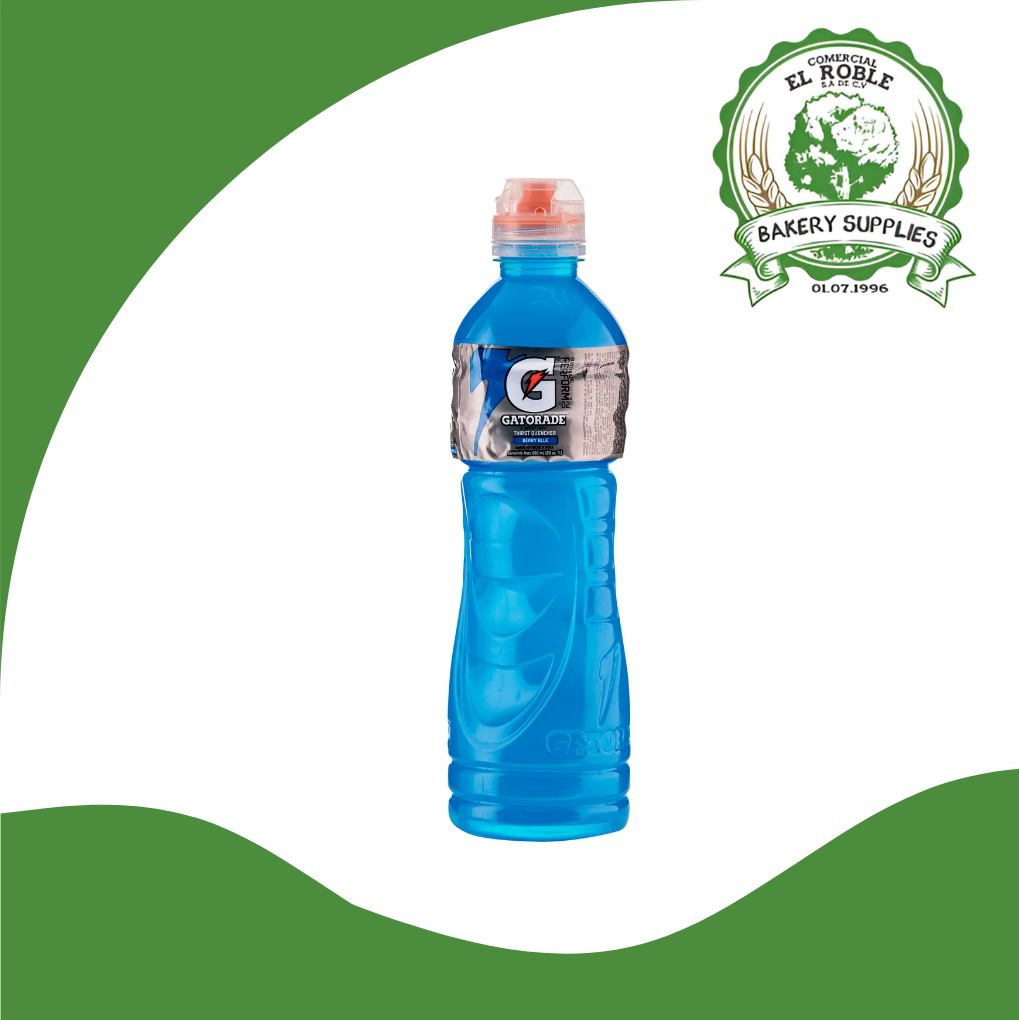 GATORADE BERRY BLUE 24/600 ML